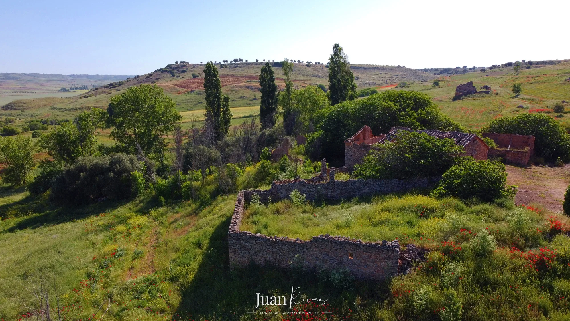 montiel-26.webp